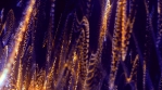 Particle_Light_Waves_07