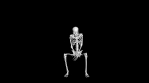 Skeleton animation while sitting. Transparent background.