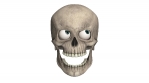 Halloween. 3D Skull animation.