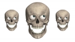 Halloween. 3D Skull animation.