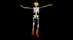 Halloween skeleton dance with hat, boots and gloves.