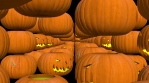 Halloween footage. Pumpkin tunnel.