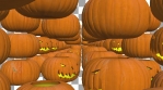 Halloween footage. Pumpkin tunnel.