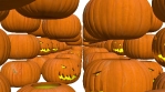 Halloween footage. Pumpkin tunnel.