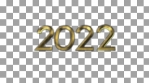 NEW YEAR CELEBRATION 2022