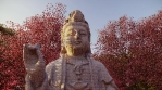 Buddha 3.mov