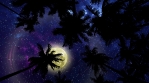 Bottom View 4 on Night Sky with Full Moon through Palm Trees