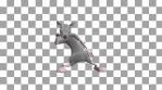 Dancing mouse. 3D realistic professional animation.
