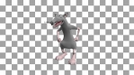 Dancing mouse. 3D realistic professional animation.