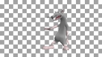 Dancing mouse. 3D realistic professional animation.