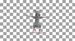 Dancing mouse. 3D realistic professional animation.