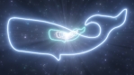 Deep Sea Ocean Whale Shaped Outline Glowing Neon Lights Tunnel Portal.mov