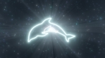 Ocean Dolphin Aquatic Creature Shape Outline Glow Neon Lights Tunnel.mov