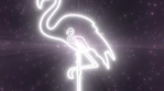 Pink Flamingo Bird Animals Shape Outline Glowing Neon Lights Tunnel.mov