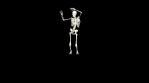 Dancing Skeleton 3D. 3D Skeleton Dance Animation.