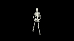 Dancing Skeleton 3D. 3D Skeleton Dance Animation.