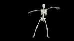 Dancing Skeleton 3D. 3D Skeleton Dance Animation.