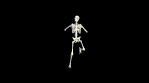 Dancing Skeleton 3D. 3D Skeleton Dance Animation.