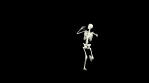 Dancing Skeleton 3D. 3D Skeleton Dance Animation.