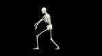 Dancing Skeleton 3D. 3D Skeleton Dance Animation.