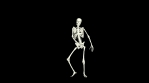 Dancing Skeleton 3D. 3D Skeleton Dance Animation.