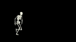 Dancing Skeleton 3D. 3D Skeleton Dance Animation.