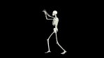 Dancing Skeleton 3D. 3D Skeleton Dance Animation.