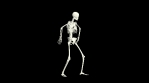 Dancing Skeleton 3D. 3D Skeleton Dance Animation.