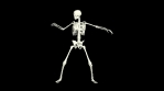 Dancing Skeleton 3D. 3D Skeleton Dance Animation.