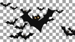 bunch of Halloween Animation Bat flying around alpha channel