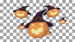 bunch of funny cartoon pumpkins Animation flying around alpha channel