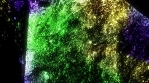 Colorful Abstract Background Loop