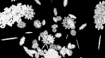 Animated snowflakes. 3D animation.