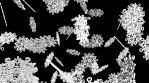 Animated snowflakes. 3D animation.