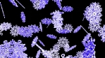 Animated snowflakes. 3D animation.