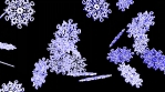 Animated snowflakes. 3D animation.