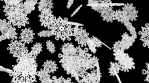 Animated snowflakes. 3D animation.