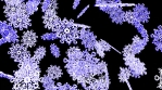 Animated snowflakes. 3D animation.