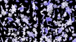 Animated snowflakes. 3D animation.