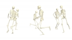 The skeletons run around. 3D running skeletons.