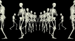 The skeletons run around. 3D running skeletons.