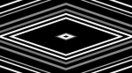 Fractal Digital Trippy lines geometrical grow black and white 33