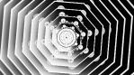 mandala slow hipnotic background rotatory loopable organic shapes motion black and white 02 4K