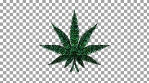 01 Trippy Weed Leaf Green