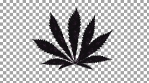 07 Hypnotic Weed - Trippy Pattern 2