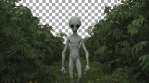 08 Alien Walk - Daylight