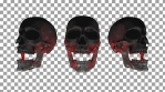 Skull laughing trio 2.mov