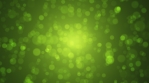 Soft green and gold bokeh motion background. Abstract spring concept.