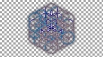 flower of life  - 04