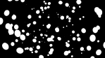 Black and white shifting pinwheel of dots